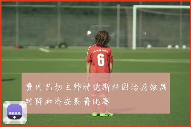 费内巴切主帅特德斯科因治疗缺席对阵加济安泰普比赛