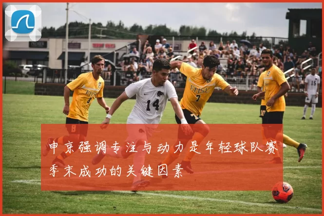 申京强调专注与动力是年轻球队赛季末成功的关键因素